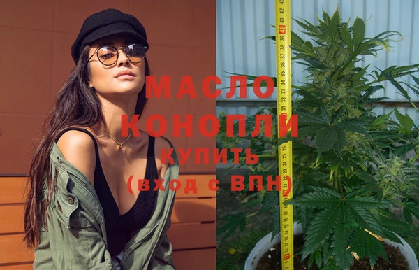 дмт Алзамай