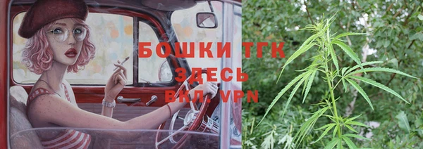 тгк Алексин