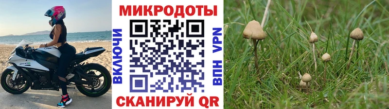 shop телеграм MEGA вход Шелехов Галлюциногенные грибы MAGIC MUSHROOMS